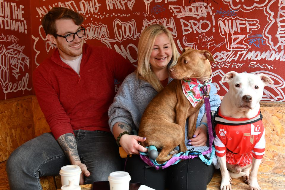 Nicole McCabe and Peter White with 'Opie' and 'EO' at the Dog Friendly Coffee Morning in aid of Dundalk Gog Rescue held in Mo Chara. Photo: Ken Finegan/www.newspics.ie