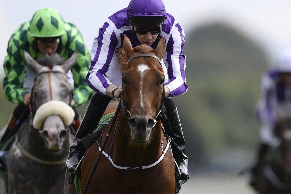 Joseph O'Brien drives Australia on to win the Juddmonte International Stakes at York. Photo: Alan Crowhurst/Getty Images
