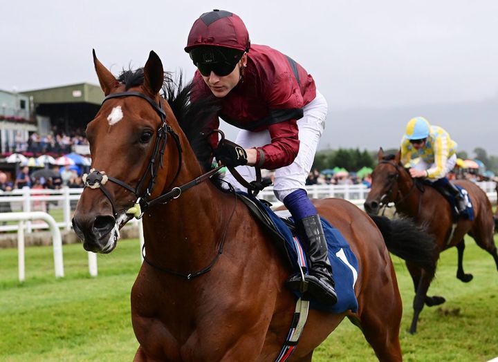 A family affair at Leopardstown as O’Briens face off in Derby Trial