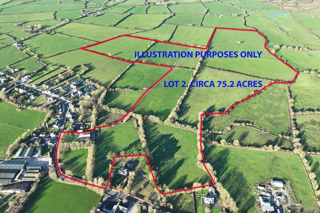 €15,000/ac for 187ac Limerick farm after 33ac portion sells to businessman