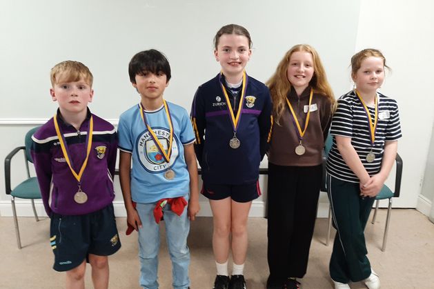 Community Games draughts finals take place in Bree