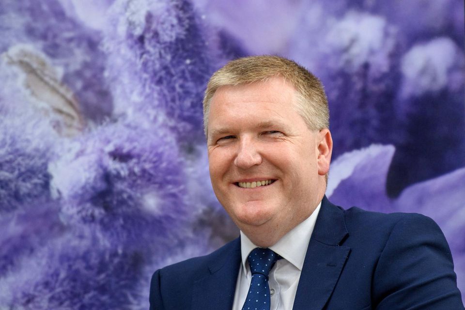 Finance Minister Michael McGrath. Photo: Daragh McSweeney/Provision