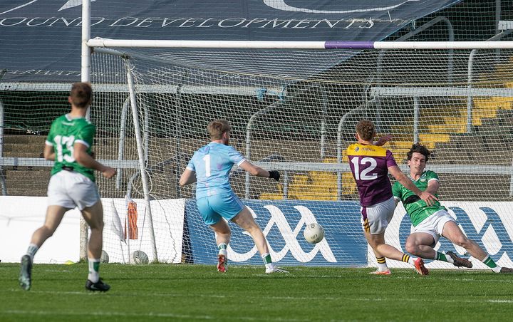 Wexford in full control of Tailteann Cup opener against Limerick