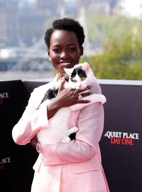 Lupita Nyong’o and cat Schnitzel during a photocall for A Quiet Place: Day One (Ian West/PA)