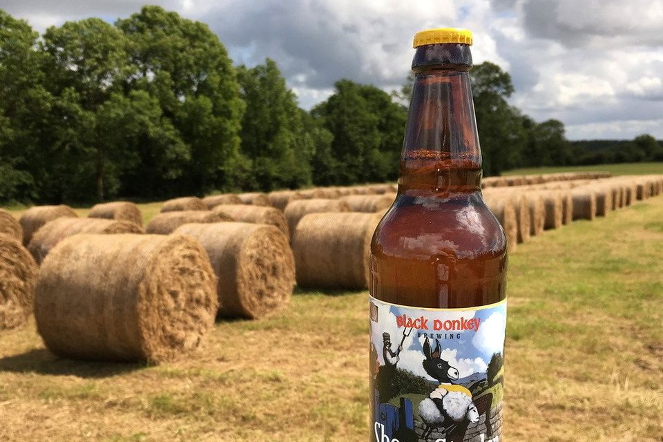 One of the popular brews. Photo: Black Donkey