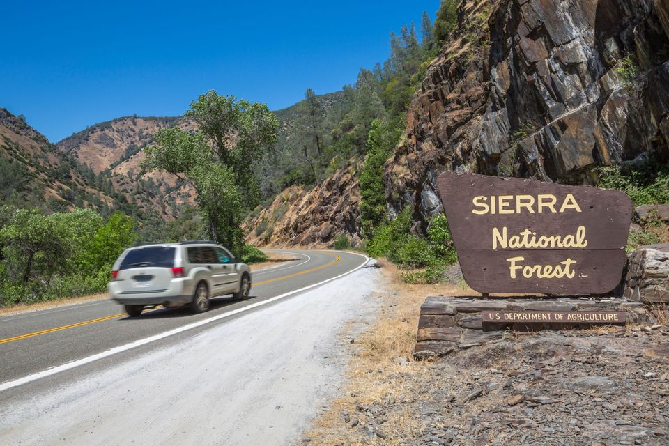 The boy wandered off from a campsite in Sierra National Forest in California (Alamy/PA)