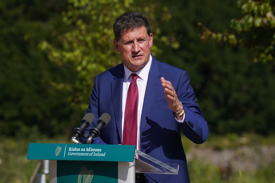 Energy Minister Eamon Ryan. Photo: PA