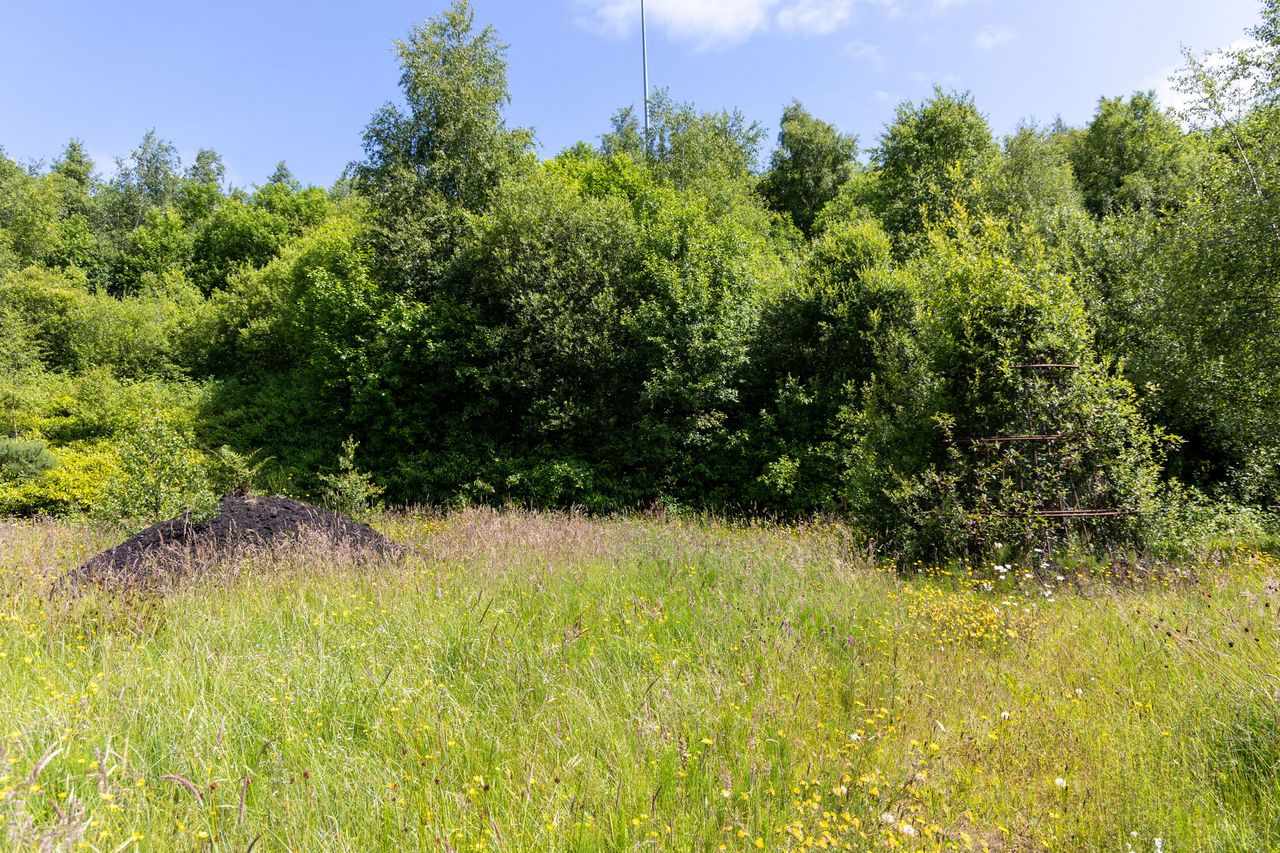 Margaret Donnelly: Carbon Farming Should Benefit The Environment And 