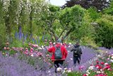 thumbnail: A garden tour in Mount Congreve