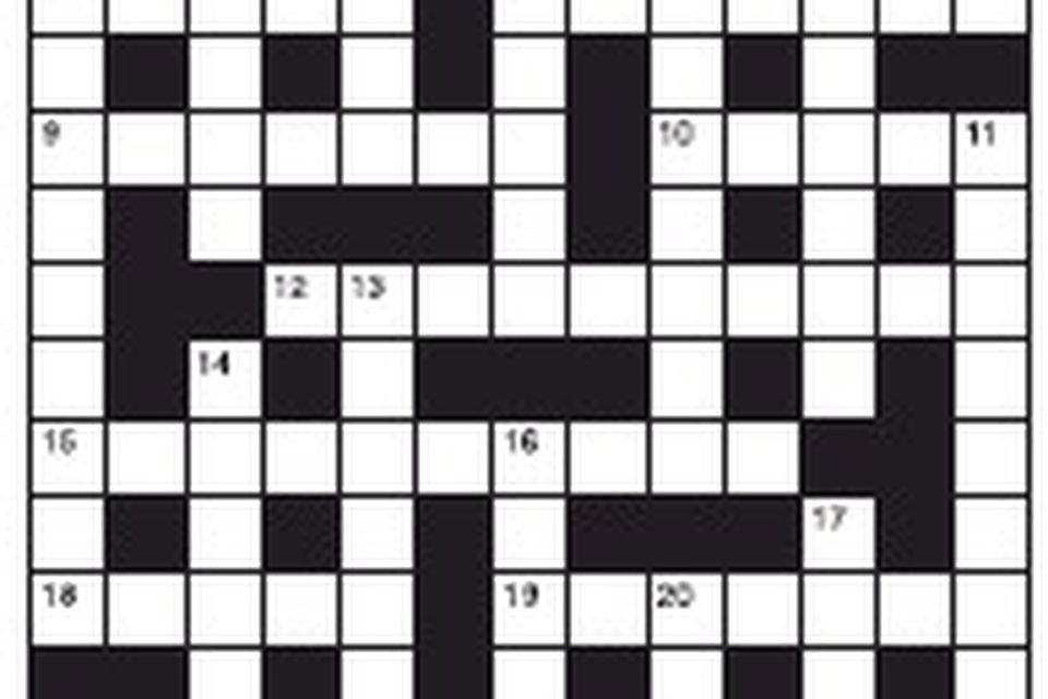 2 Speed Crossword Independent.ie