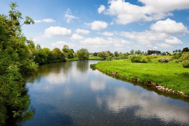 How farming communities are working together to protect Ireland’s waterways