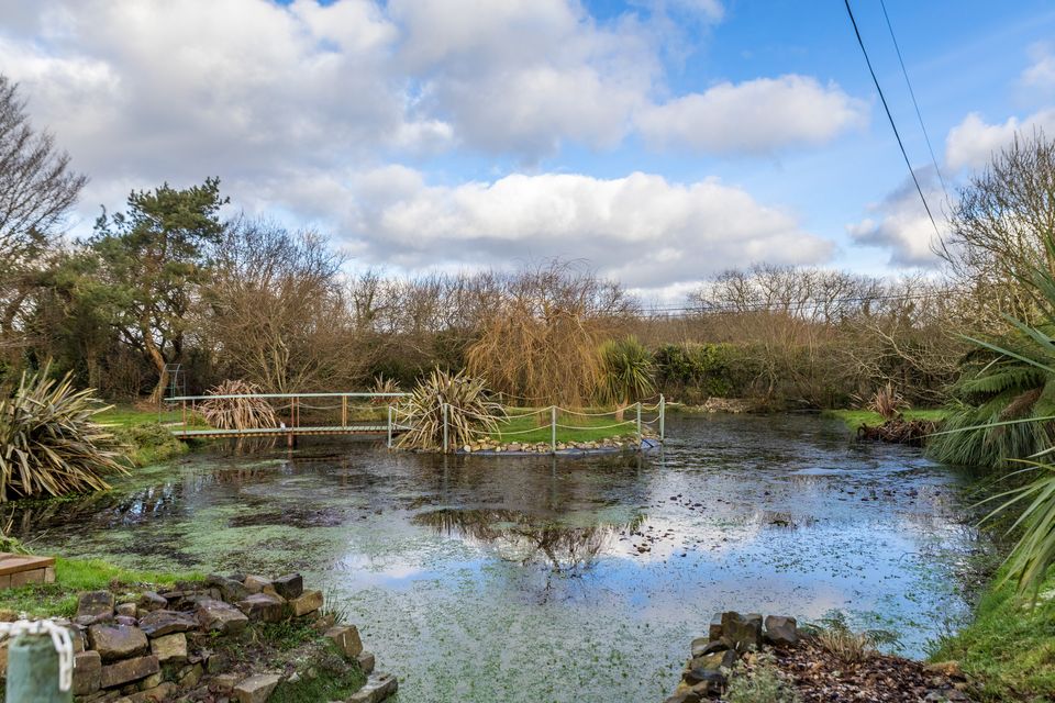The island was hidden by overgrown vegetation until the O'Briens had it cut back