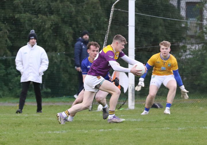 Wicklow U-20s overpowered by neighbours Wexford in Andrew Corden Cup semi-final