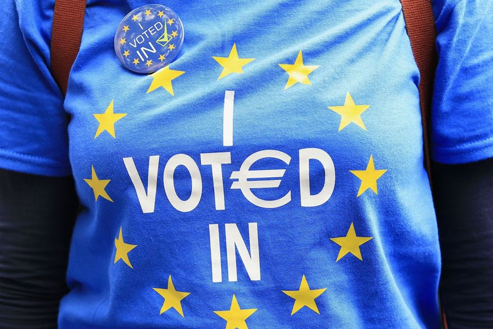 A Remain supporter on Park Lane in London