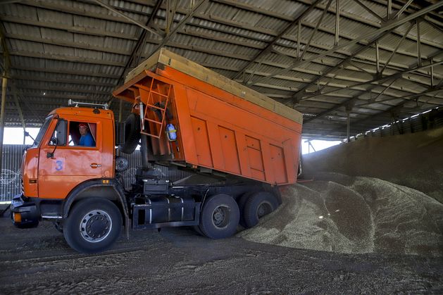 Russian farmers rush to sell grain to profit from high interest rates