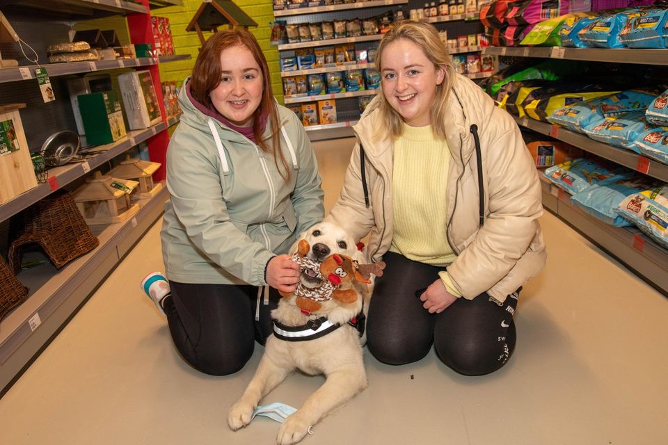 A pet day in Manor West as Maxi Zoo opens its doors Irish