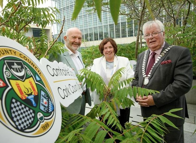 Cork community groups funded to keep fighting climate change through innovative projects