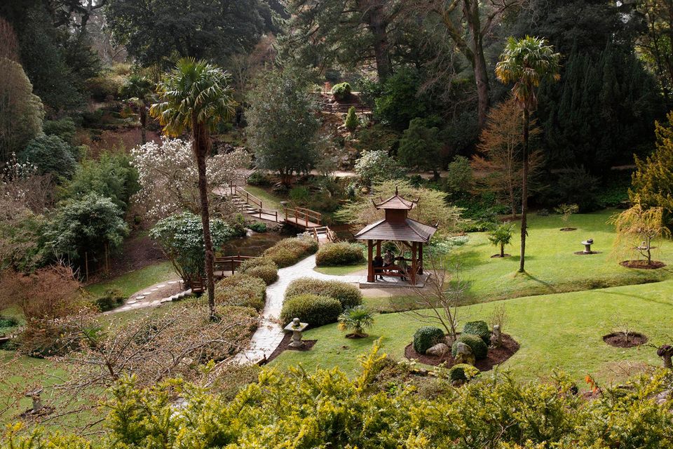The Japanese Gardens at Powerscourt. Photo: Fran Veale
