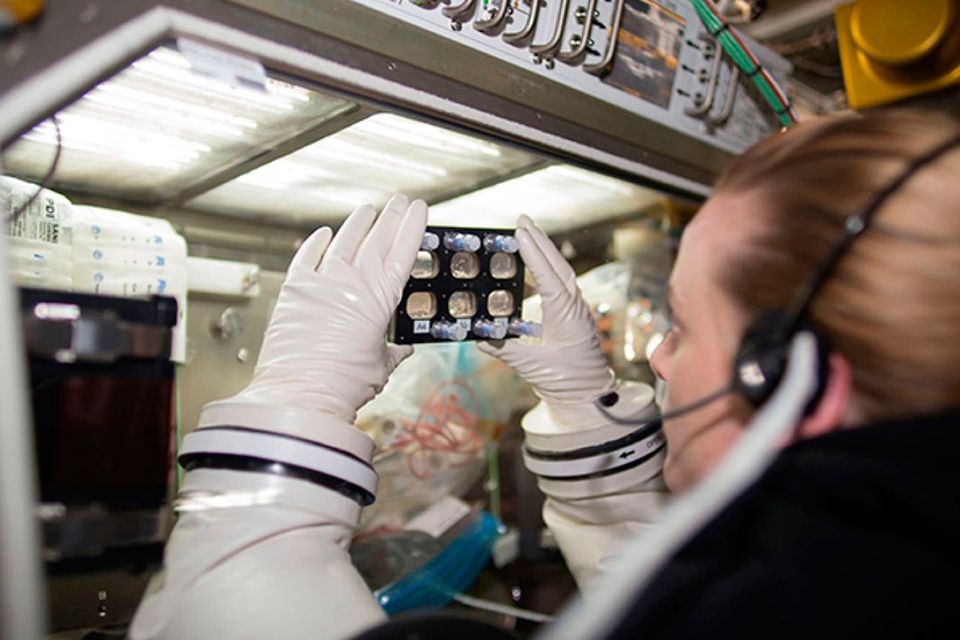 Astronaut Kate Rubins examines hiPSC-derived cardiomyocytes grown within a fully enclosed cell culture plate aboard the International Space Station. New research suggests heart muscle cells derived from stem cells have the ability to adapt to their environment during and after spaceflight. Photo: NASA/PA Wire