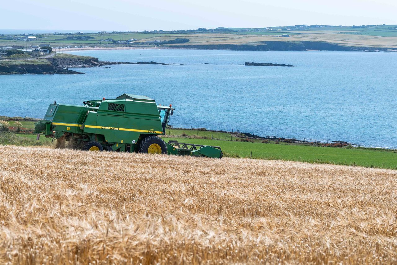 Grain Prices  Grain Prices Latest News - Irish Independent