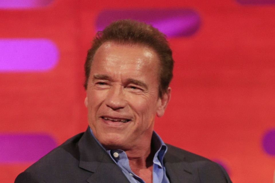 Arnold Schwarzenegger said there was nothing to worry about (Jonathan Brady/PA)