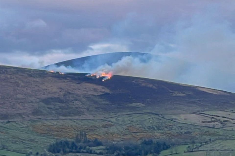 Fire services were called out to a third blaze on Mount Leinster in 24 hours. Photo: Carlow Fire and Rescue Services