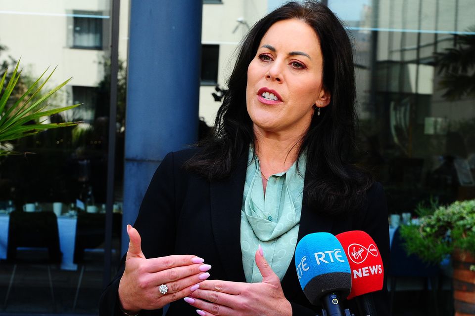 Health Minister Jennifer Carroll MacNeill TD speaking to the media at the INMO Conference in Whites Hotel Wexford on Thursday. Pic: Jim Campbell