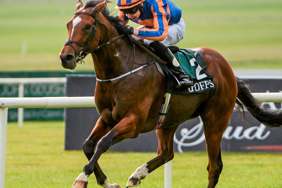 Gleneagles, with Joseph O'Brien up, on their way to winning the Goffs Vincent O'Brien National Stakes. Curragh Racecourse, The Curragh, Co. Kildare. Picture credit: Pat Murphy / SPORTSFILE