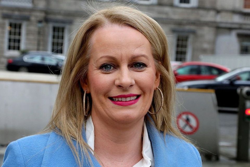 Chair of the Oireachtas Media Committee Niamh Smyth. Photo: Tom Burke