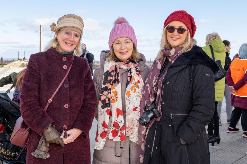 Wicklow Councillors turnout for Bray fundraising walk for two