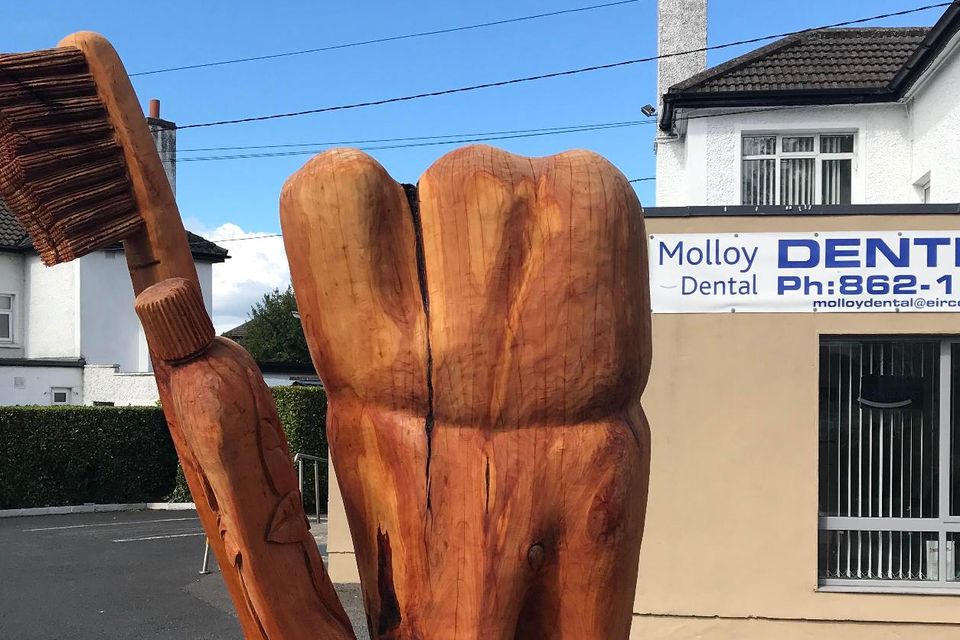 The tooth and toothbrush were sculpted by British-based tree carver Tommy Craggs. Photo: Robert Molloy