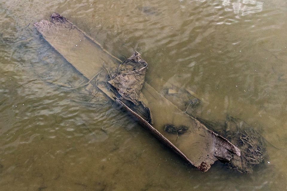 Citizen archaeologist Anthony Murphy appears to have found another potentially significant discovery in the Boyne Valley using a drone - a logboat that could date to Neolithic times (pictured).