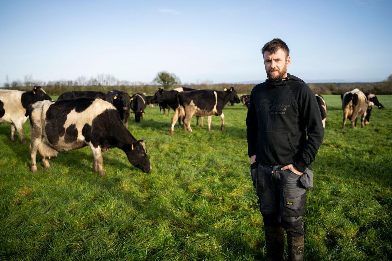 Farmers tap into AI thanks to €2m deal between Dairymaster, Lero and IT  Tralee - Engineers Ireland