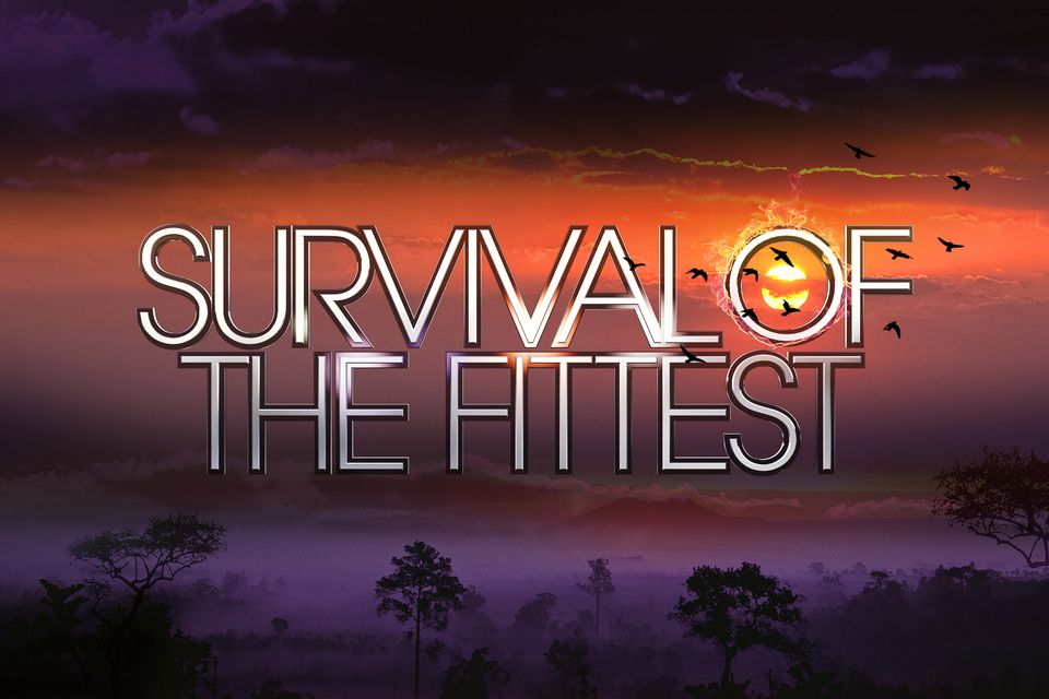 Survival Of The Fittest.