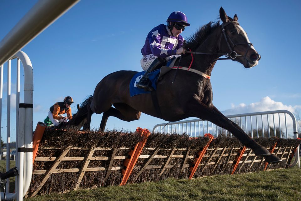 Mary Frances and Sean Flanagan winning at Thurles earlier this month