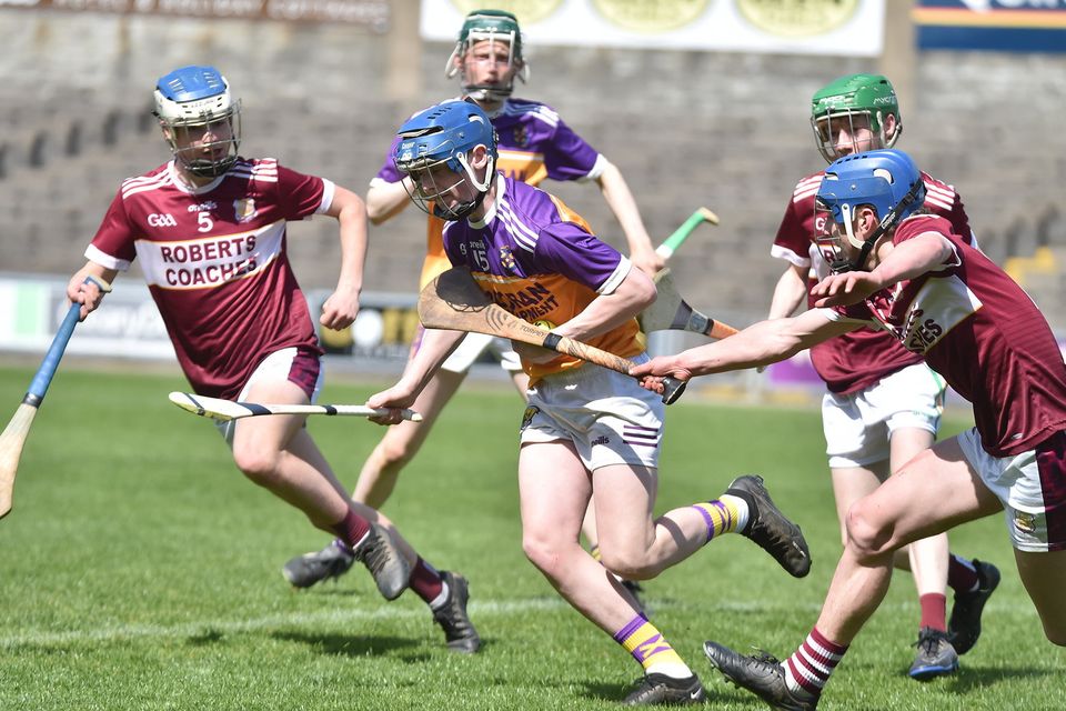 Eoghan Kehoe (Wexford CBS) and Jack Doyle and Paddy O'Neill (FCJ Bunclody). Photo: Jim Campbell