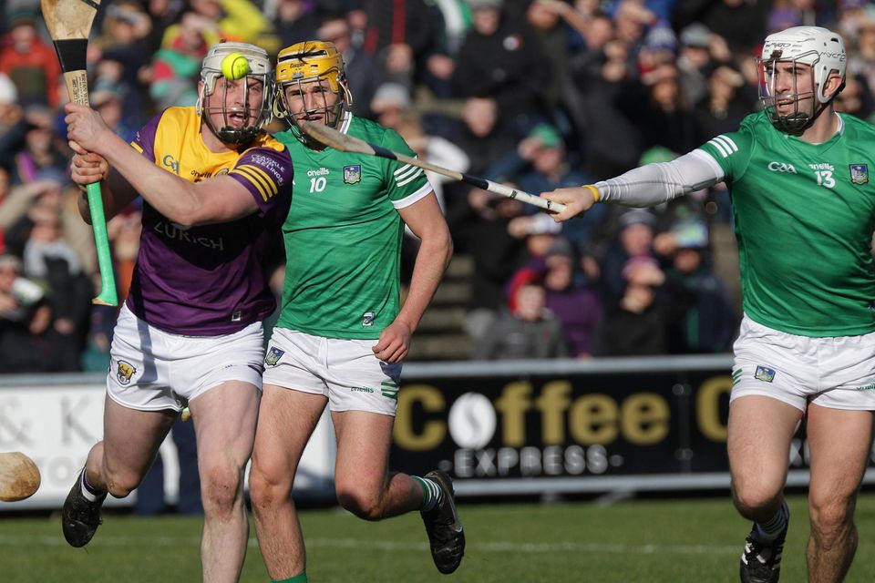 Wexford progress pleases Tom Dempsey