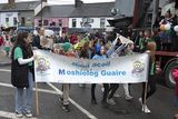 thumbnail: Gael Scoil Moshiológ Guaire in the St Patrick's Day parade in Gorey. Pic: JIm Campbell