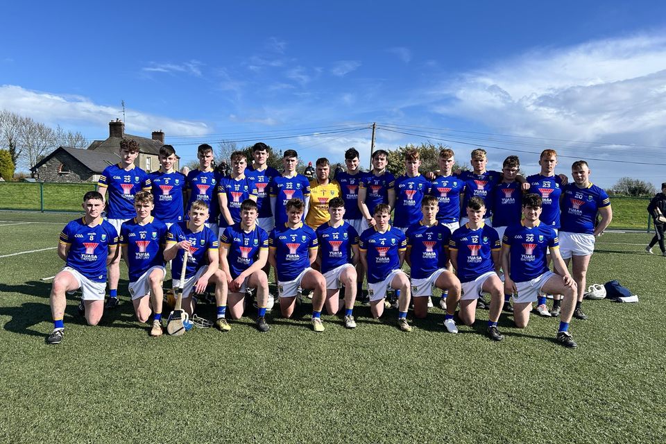 The Wicklow U20 hurlers ahead of their quarter-final victory over Tyrone.