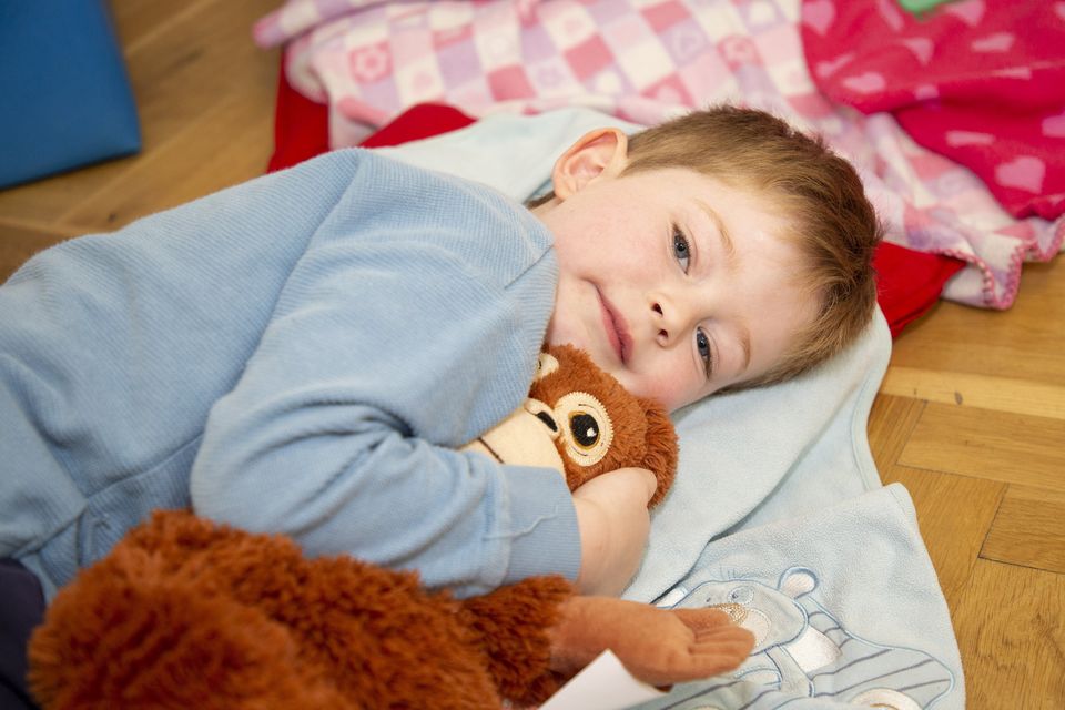Arklow children send teddy bears off for first library sleepover Irish Independent
