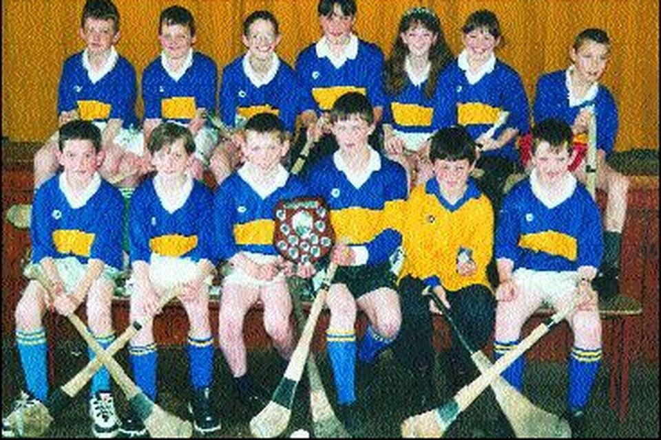Rearcross team &#150; Winners of North Tipperary Schools Shield.	A few people got together and decided to unite the parish in hurling. That they did,