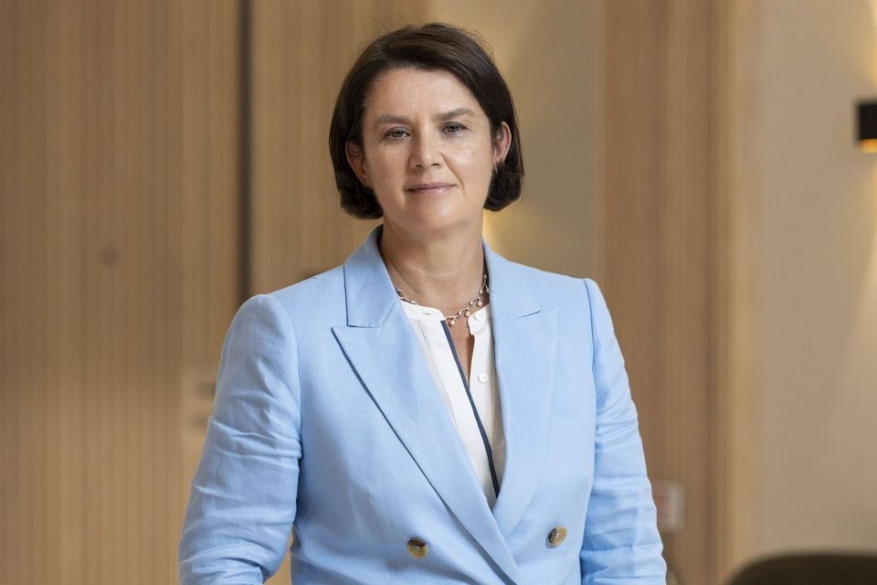 'The purpose of IADF is to increase the availability and flexibility of funding options,' said CEO of AIB Capital Markets, Cathy Bryce