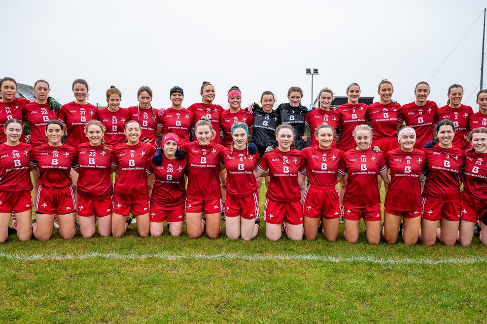 The Louth team which lost out to Clare in Doonbeg on Sunday afternoon. Picture: Warren Matthews