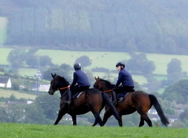 Wicklow racehorse trainer Philip Rothwell to open his doors to public