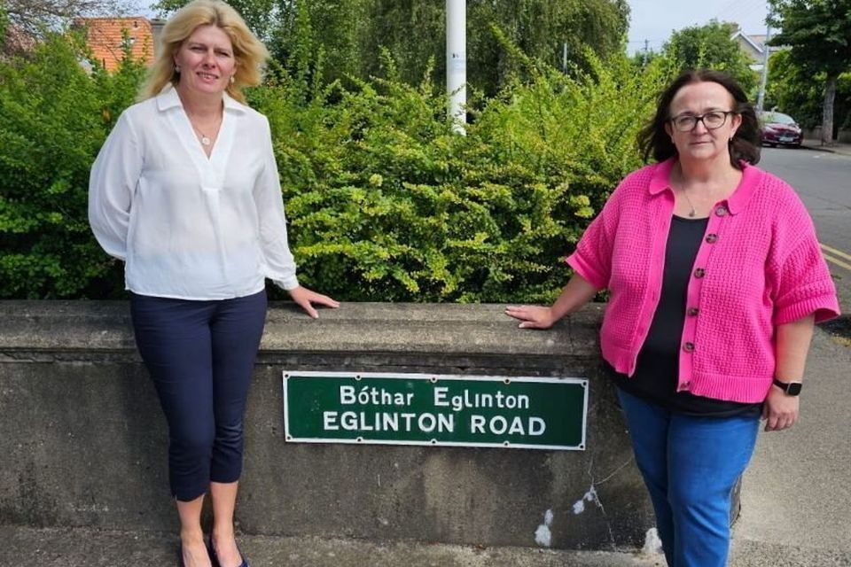 Cllrs Melanie Corrigan and Aoife Flynn Kennedy on Eglinton Road, Bray, where hidden disability spaces have been approved. 