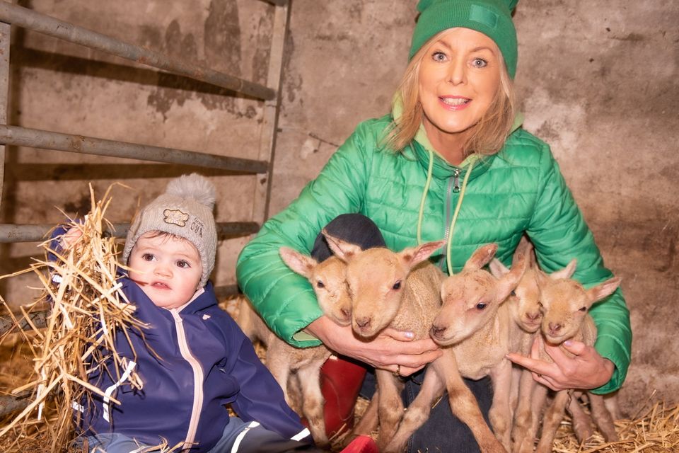 Eleanor Elliott Henry, Grange Co. Sligo, pictured with her quintuplet lambs and her young shepherdess neighbour Kayla Barber. Photos by Denise Barber - Swarber Photography.