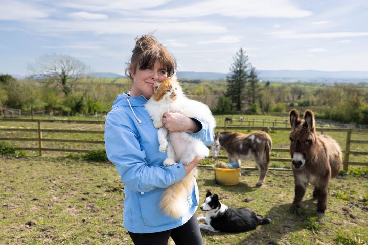 'These people would go to mass and yet watch a beautiful pony starve to death': the reluctant animal rescuer fighting to keep her sanctuary open