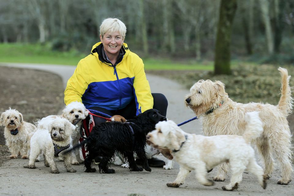 Jennanne Fennelly with her dogs in Killiney Hill yesterday. Photo: Gerry Mooney