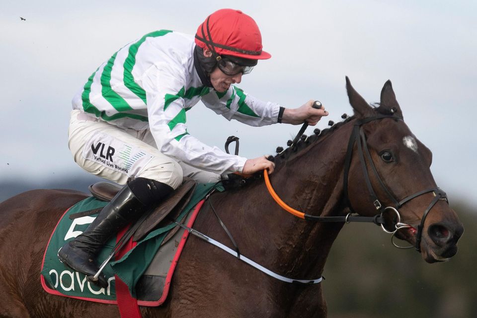 Folcano can help to give Elliott another great day at Navan | Irish ...