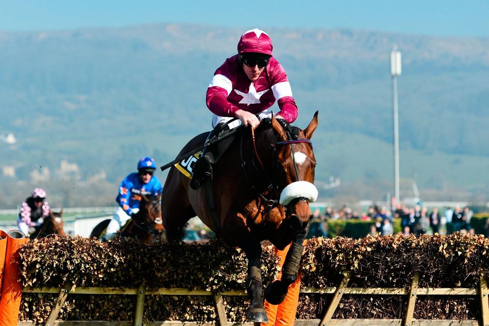 Tiger Roll with Davy Russell. Photo: Sportsfile